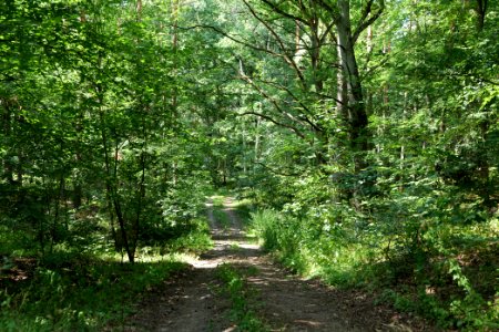 Herrensee, Lange-Damm-Wiesen und Barnim-Hänge 2020-08-05 55