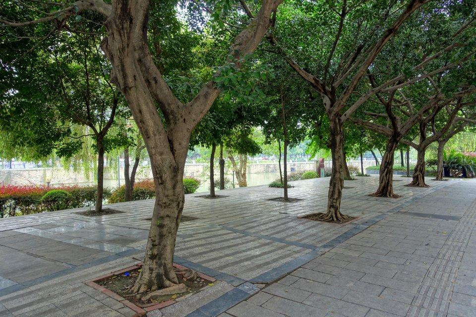 Hebin Road sidewalk - Chengdu, China - DSC05668