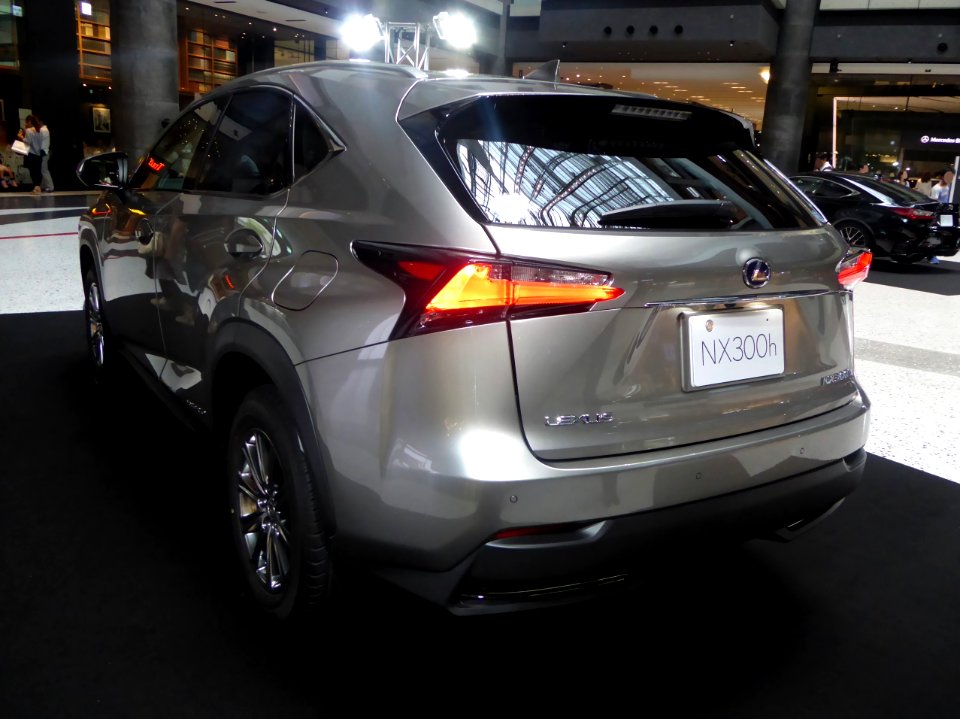 Lexus NX300h (AYZ10) rear