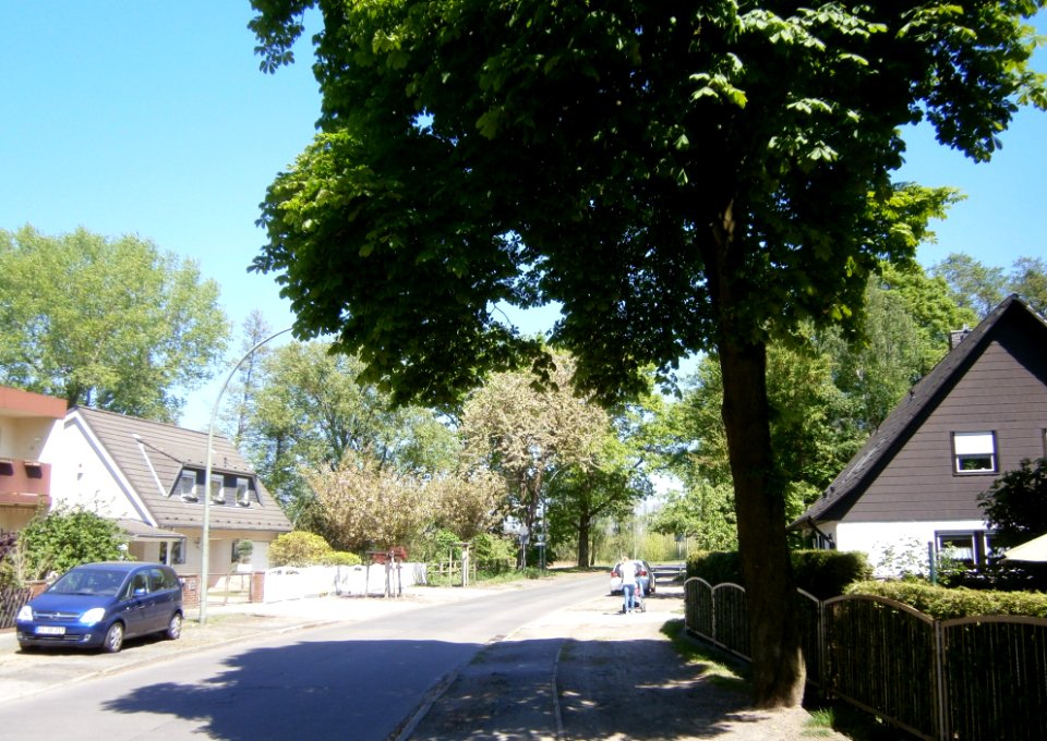 Hermsdorf-Seebadstraße-P5150369 (2)