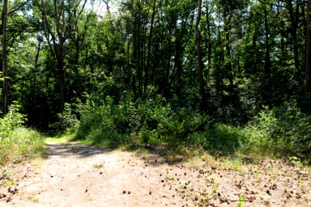 Herrensee, Lange-Damm-Wiesen und Barnim-Hänge 2020-08-05 72