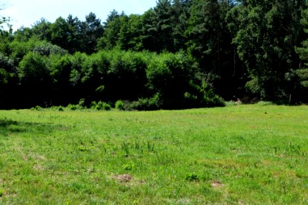 Herrensee, Lange-Damm-Wiesen und Barnim-Hänge 2020-08-05 66