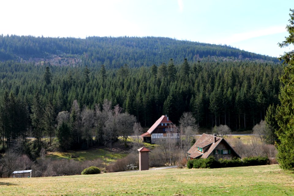 Herrenwies-Forbach 2020-03-15 20