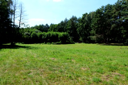 Herrensee, Lange-Damm-Wiesen und Barnim-Hänge 2020-08-05 64