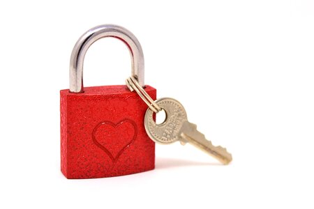 Valentine's day luck symbol