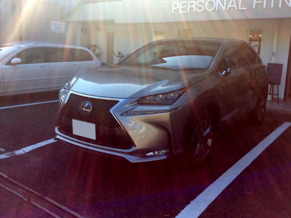 Lexus NX300h F SPORT (AYZ10) front