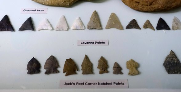 Levanna points and Jack's Reef corner-notched points - Middle Woodland collection - Robbins Museum - Middleborough, Massachusetts - DSC03845