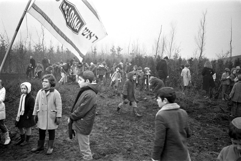 Leerlingen van Rosj Pina school planten bomen in Amstelpark, Amsterdam, Bestanddeelnr 924-2538