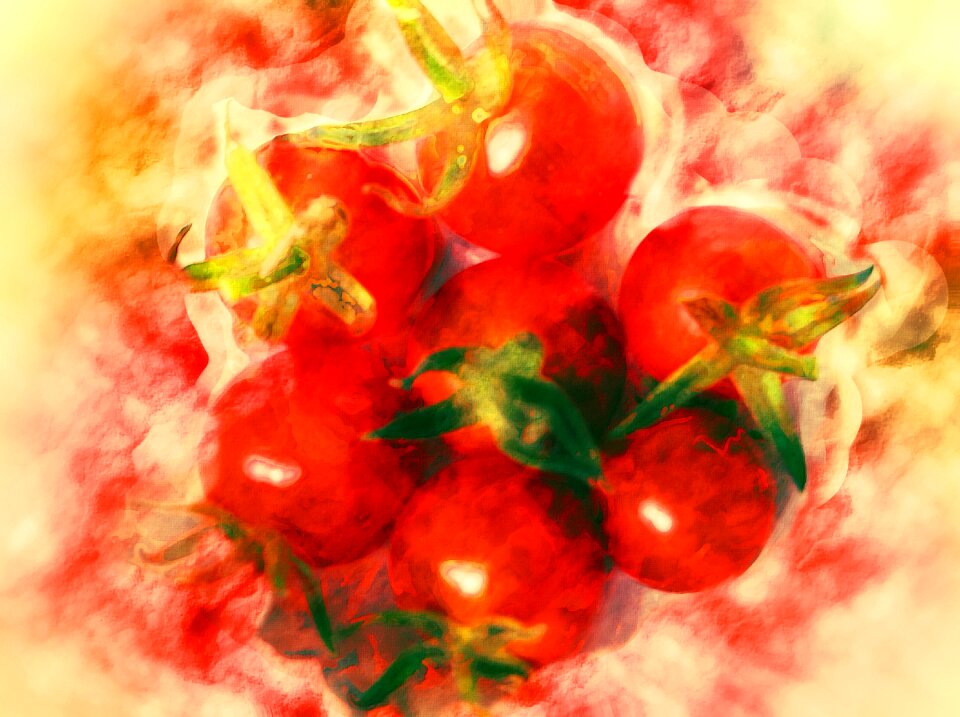 Tomatoes watercolor red
