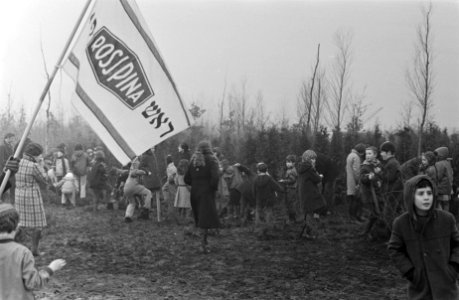 Leerlingen van Rosj Pina school planten bomen in Amstelpark hoofd heer Koldhof , Bestanddeelnr 934-6568