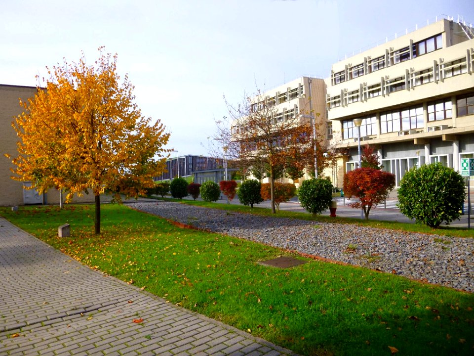 Lejona - Campus de Bizkaia de la UPV-EHU 06