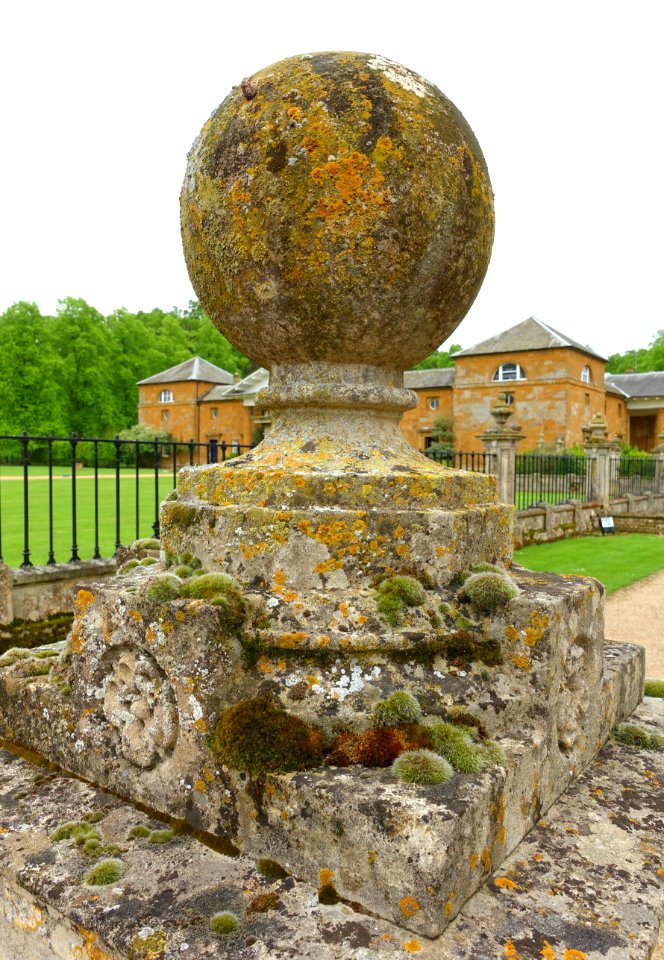 Lichenous ball - Althorp House - Northamptonshire, England - DSC09304
