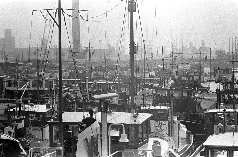 Leuvehaven te Rotterdam, gezien vanaf de plek waar het beeld 'Verwoeste Stad' va, Bestanddeelnr 920-7145