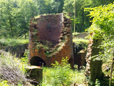 Le haut-fourneau du Dorlon pic-011