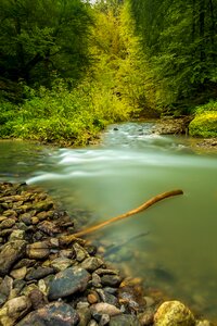 Landscape natural water forest photo