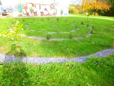 Lejona - Campus de Bizkaia de la UPV-EHU - Arboretum 02