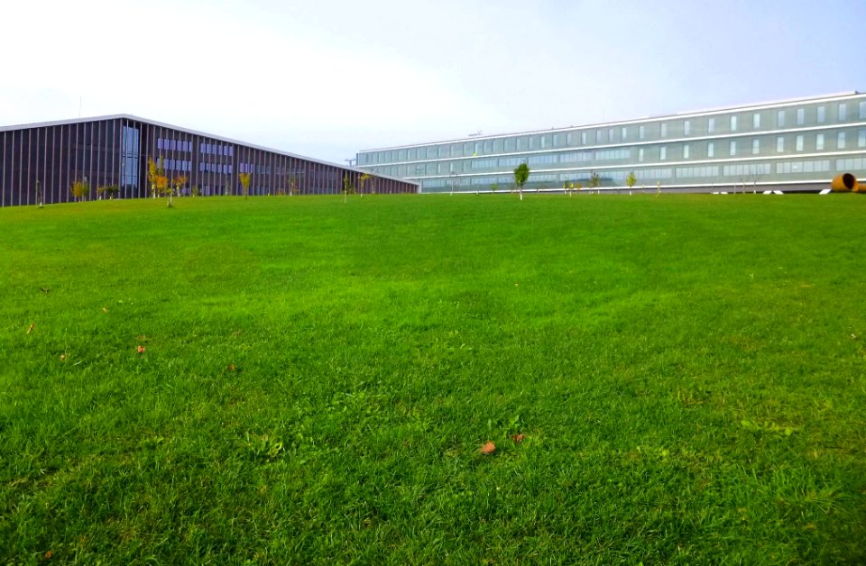 Lejona - Campus de Bizkaia de la UPV-EHU - Escuela Universitaria de Magisterio 08