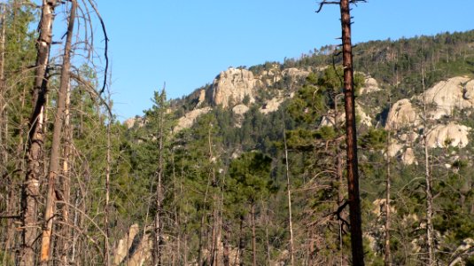 Lemmon Rock from Aspen Trail long