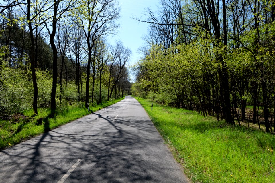 Lindenbrücker Weg Chaussee Wünsdorf 2021-05-09 07