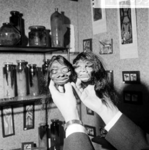 Kunstnijverheidsbeurs 1965 in RAI, ingedroogde mensenhoof (van plastiek), Bestanddeelnr 917-4095