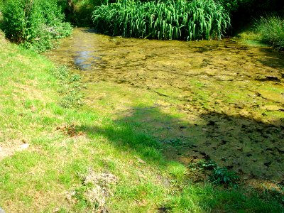 La mare du lavoir de Roche