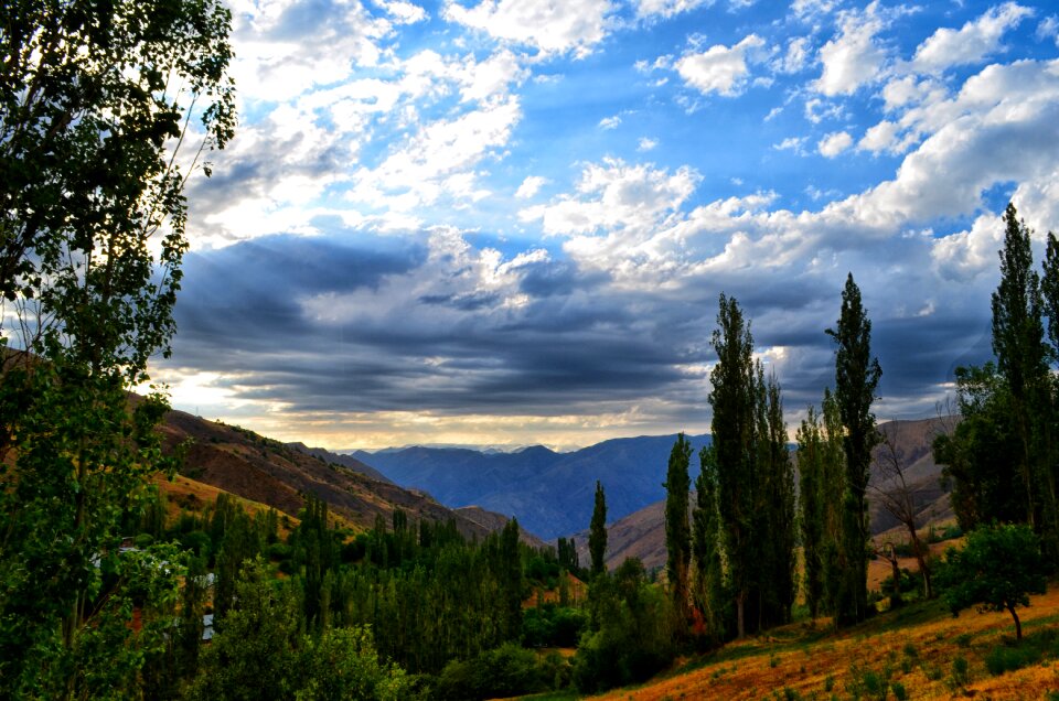 Nature view grass mountain