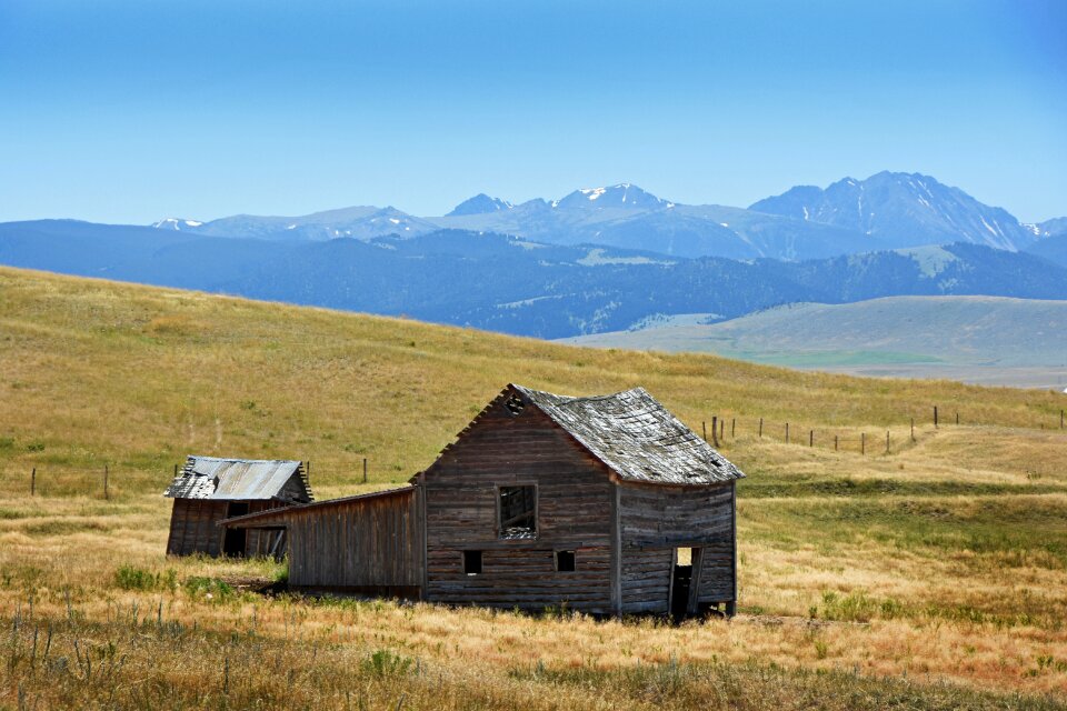 Horizontal plane nature agriculture