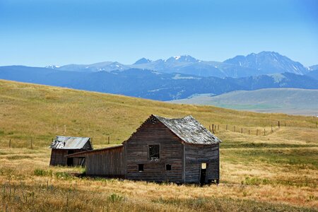 Horizontal plane nature agriculture