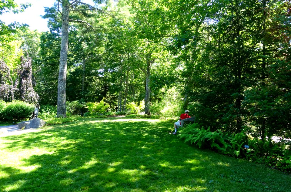 Lawn - Coastal Maine Botanical Gardens - DSC03189