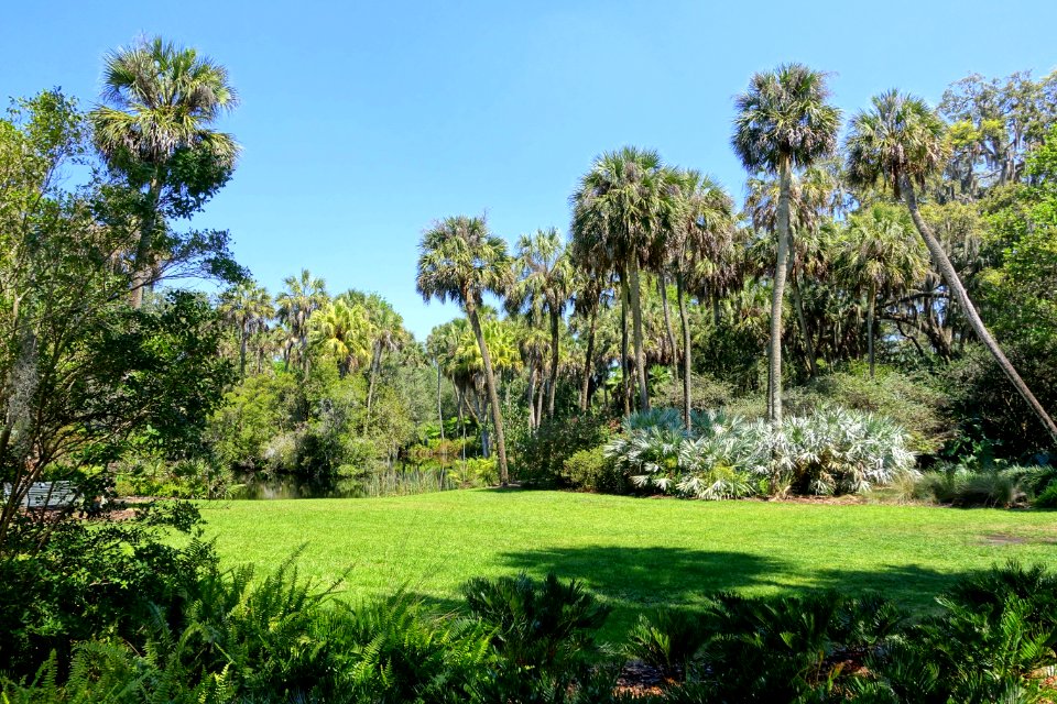 Lawn - Bok Tower Gardens - DSC02331