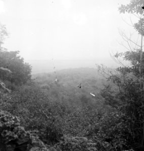 Landschap, Bestanddeelnr 15916
