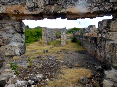 LA DESIRADE VESTIGES DE LA COTONERAIE