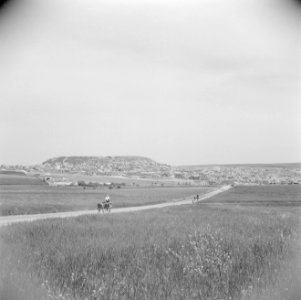 Landschap in de omgeving van Khan Sheikhun, Bestanddeelnr 255-5978