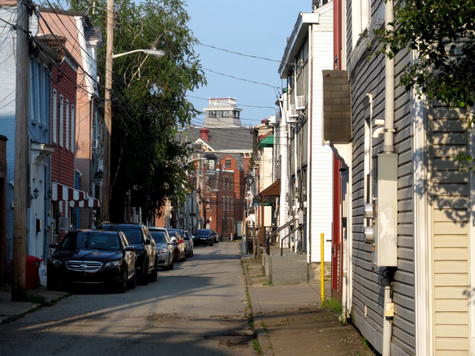 Larkins Way, South Side, 2021-07-15
