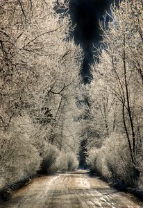 Frost outdoors landscape photo