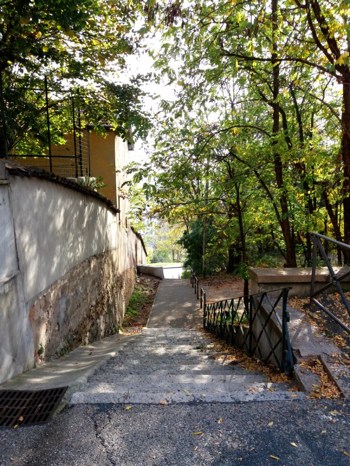 La Mulatière - Escalier Clément Mulat, depuis la rue Clément Mulat