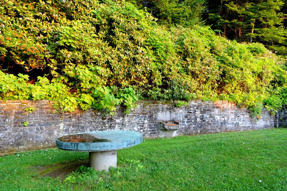 Lawn - Naulakha - Dummerston, Vermont - DSC06855
