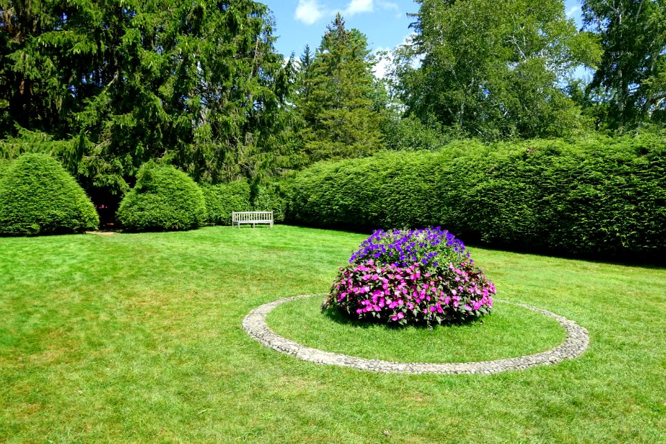 Lawn - Tanglewood - DSC05743