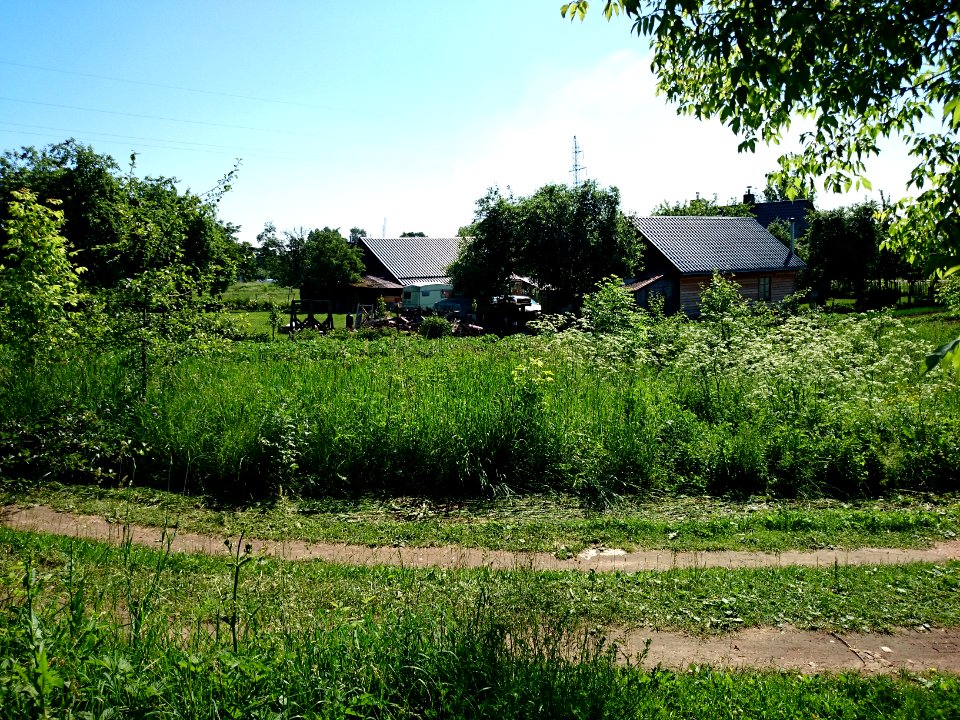Laukagaliai (Jonava) 1