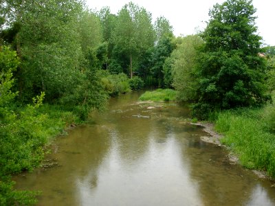 La Guenelle à Togny-aux-bœufs (Marne, Fr)