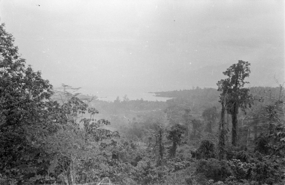 Landschap, Bestanddeelnr 439-1-1