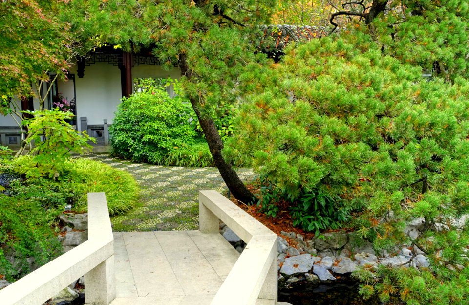 Lan Su Chinese Garden - Portland, Oregon - DSC01644