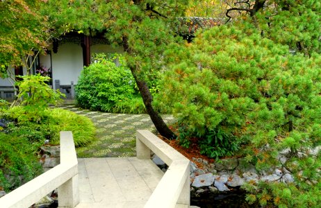 Lan Su Chinese Garden - Portland, Oregon - DSC01644