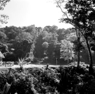 Landschap bij Brokopondo, Bestanddeelnr 252-5209
