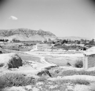 Landschap in de omgeving van Jericho, Bestanddeelnr 255-5604