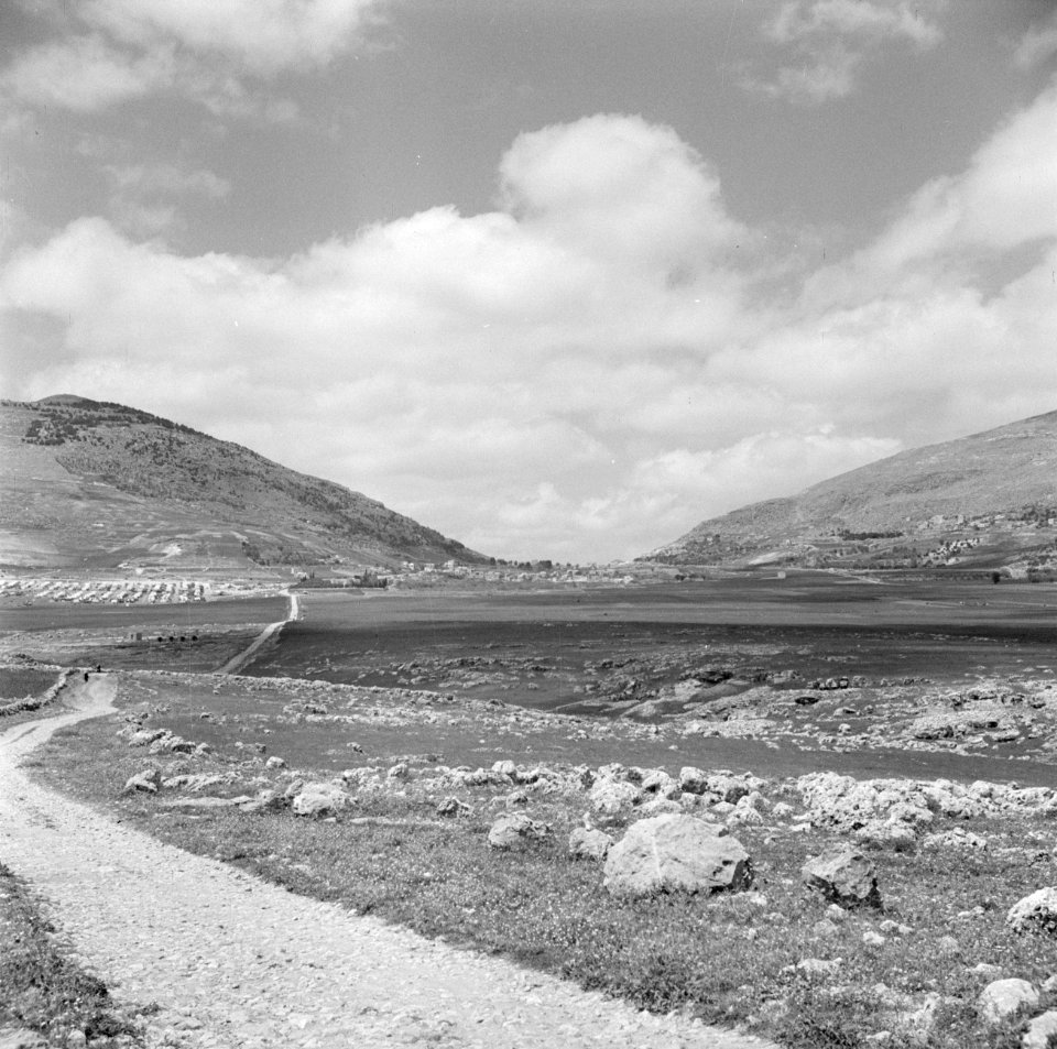 Landschap langs de weg van Ramallah naar Nablus, Bestanddeelnr 255-5556