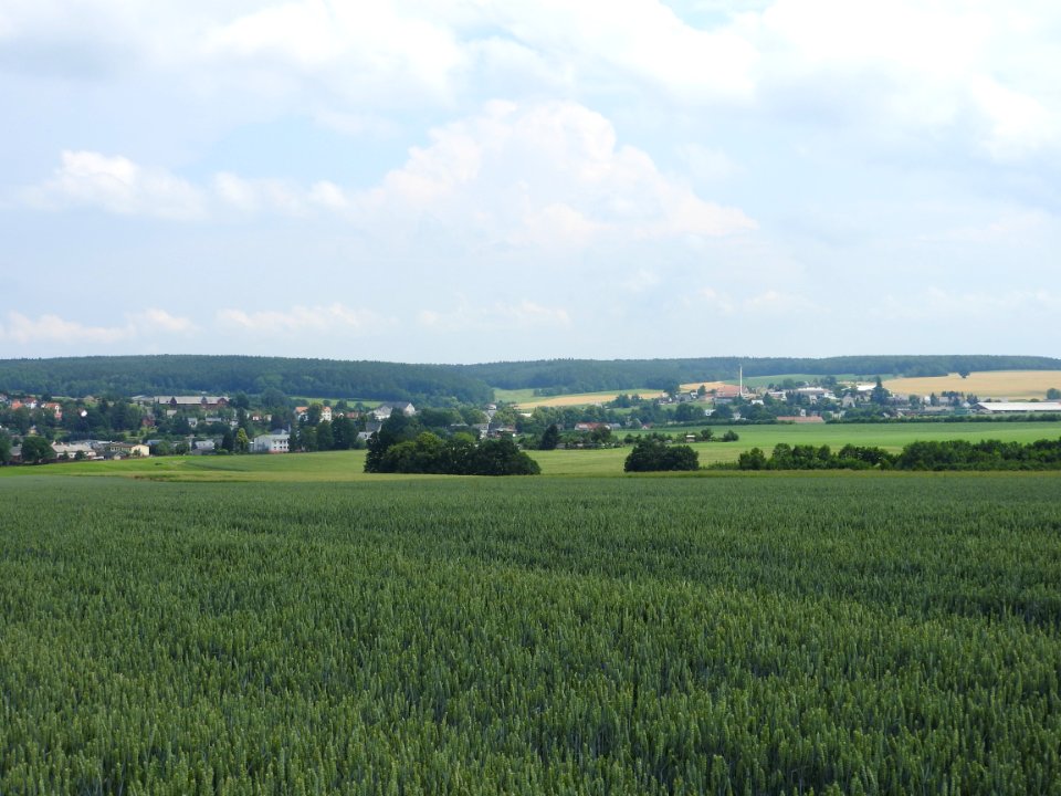 Langenwetzendorf, Thuringia 4