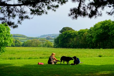 Lawn - Trengwainton Garden - Cornwall, England - DSC02570