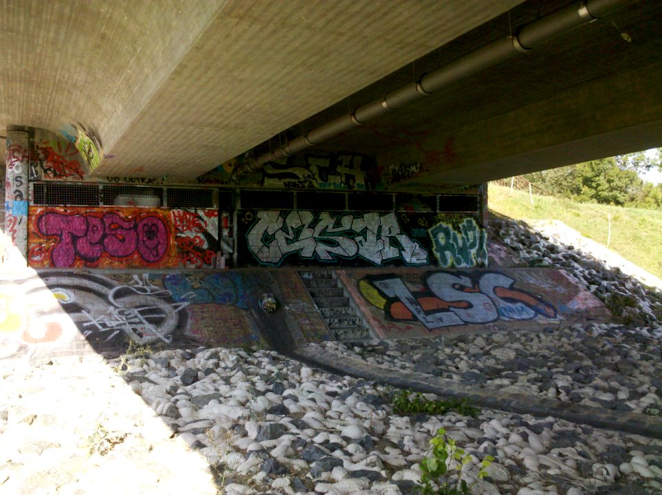 Lauersche Brücke bzw. Bauwerk 8 die S 46 über das Elsterhochflutbett führend -Untersicht- im August 2017a