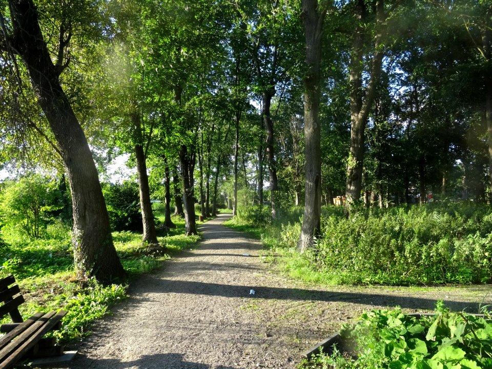 Labiszyn Park Island19